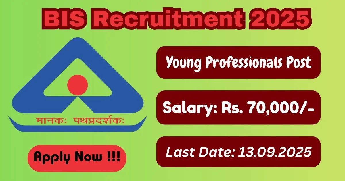 BIS Online Recruitment 2025 For Young Professionals Post - Apply Now